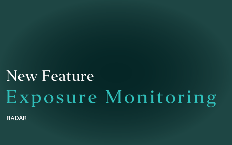 Radar Exposure Monitor: Know When Risk Reaches Its Limit